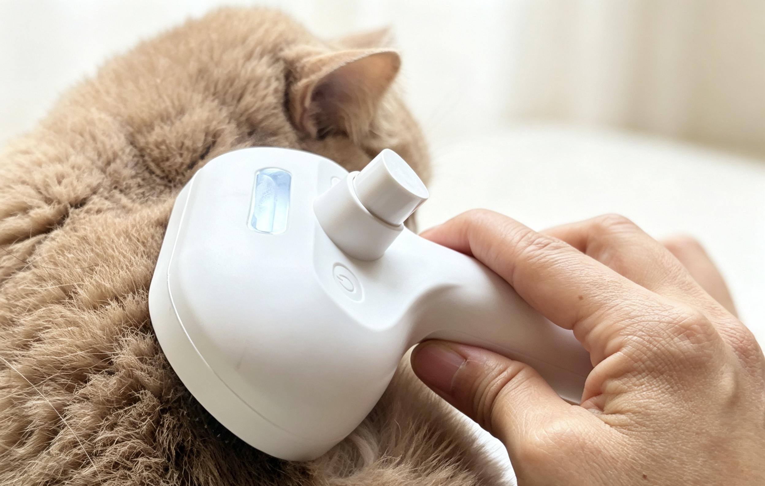 How to Use a Mist Grooming Brush